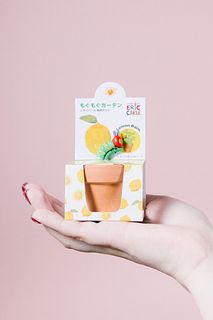 はらぺこあおむし もぐもぐガーデン栽培セット（レモンバーム）