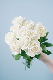 國枝さんのバラ「アムールブラン」