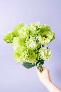 ミントカラーのトルコキキョウ