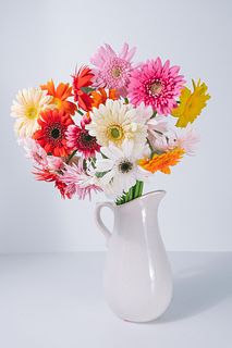 産直】松木園芸のおまかせガーベラ