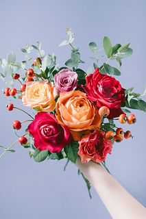 Autumn Rose