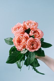 幸運のバラ「ラ・シャンス」