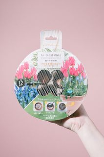そのまま植えるだけ！おまかせ春の球根アソート