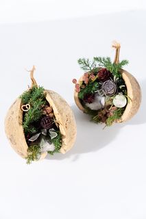 ブッタナッツ ブッタナッツのおすすめ商品とおしゃれな実例 ｜ RoomClip（ルーム