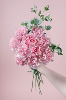 ピーチカーネーション