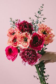 【2月のお買い得】たっぷり！高級ラナンキュラス「シャルロット」