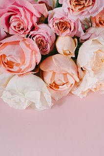 ピーチミルクローズのおまかせ