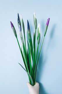 花菖蒲で彩るこどもの日