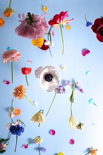 【夜限定】真夜中のおまかせブーケ