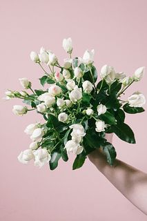 【6月のお買い得】スイートオールド（10本）