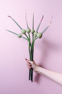 サマードラマー