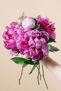 ピンクアソート「芍薬」