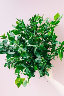 季節の枝もの「ブルーベリー」