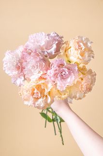 中曽根さんの極上トルコキキョウ「NFマンゴー&NF秋ピンク」