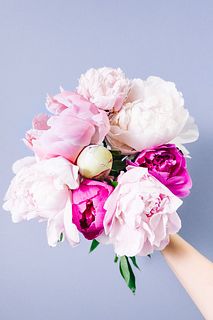 特盛！よくばりピオニー（10本）