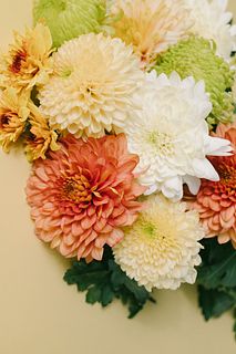 おまかせレモンライムマム