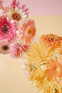【2BUY10%OFF】 完熟ベリーとマンゴーガーベラのおまかせ（2束セット）