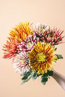 花火咲きおまかせマムmix