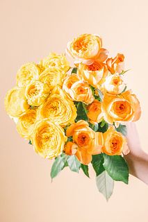 ジューシーテラッツァとサニートレンドセッター