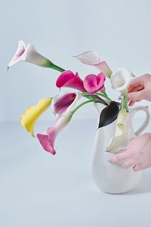 月田さんの森のカラー（7本）