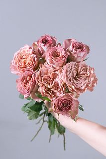 【8月のお買い得】バラ「テナチュール」（9〜10本）