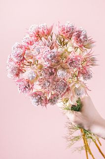 【9月のお買い得】ふわふわセルリアのスワッグ