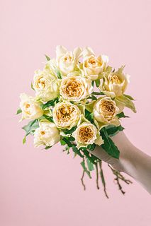 【9月のお買い得】バラ「リテラチュール」（10本）