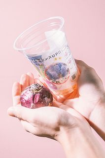 春を先取り！おまかせ水栽培ヒヤシンス