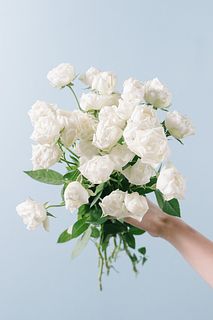 【9月のお買い得】カップ咲きローズ「コットンカップ」