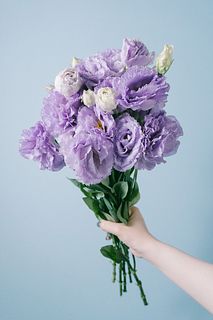 シロツメクサの花言葉は？身近なお花の花言葉をご紹介
