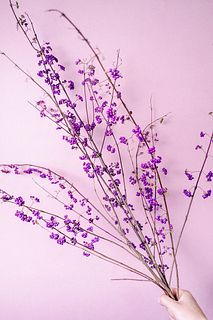 季節の枝物「つぶつぶ紫式部」（ロングサイズ）