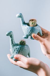 ブラキオサウルスのミニサボテンキット（1個）