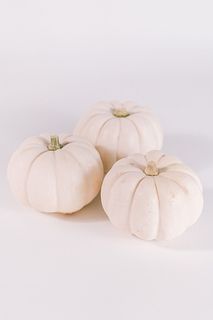 ミルク色のかぼちゃ「ホワイトブー」（3個入）