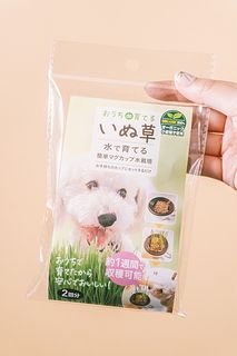 いぬ草水栽培キット
