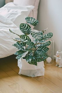 鉢カバー「ROCA BAG」（ホワイト）