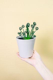 アルプカ「フリズルシズル」