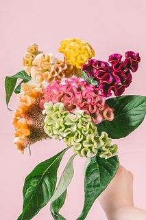 高級！秋ケイトウのMIXブーケ（7本）