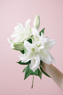 八重咲きホワイトリリー（セミロングサイズ）