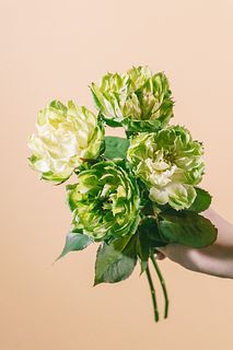 希少品種ローズ「ベジー」