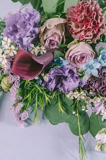 クラシカルパープルのおまかせ