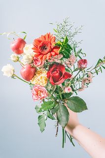 冬の香り「りんごとティーツリー」