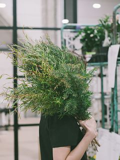 香るティーツリーのブランチミックス （セミロングサイズ）