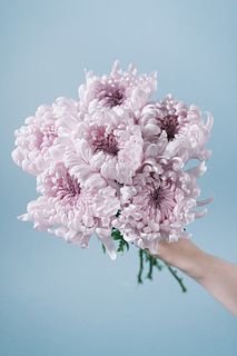 マム「ララバイ」