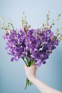 ライラックブルーのモカラ