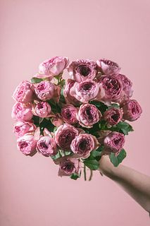 希少ローズ「モーブティアラ」