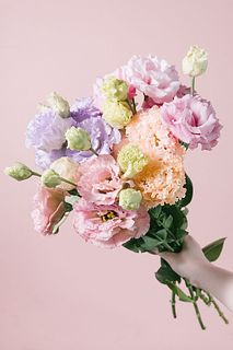 カラフルトルコキキョウのおまかせ