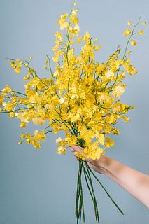 たっぷり10本！幸運を呼ぶ「オンシジウム」(ロングサイズ）