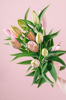 八重咲きリリー「ディアンサ」(3本)