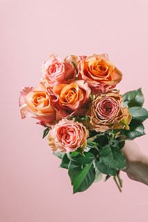 後藤バラ園の「ヴィンテージとラブロ」