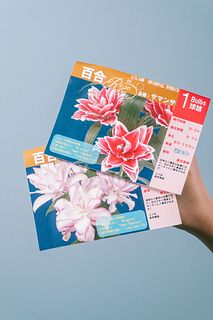 ローズリリーの球根（2球セット）